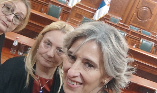 radna grupa